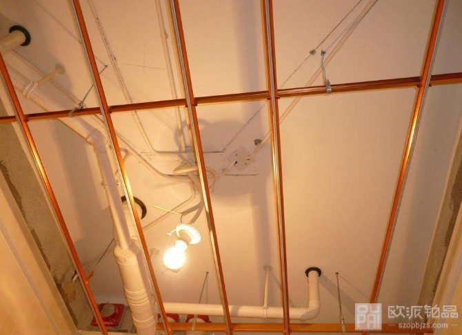 每个人家中都需要装修才能住人，房顶的装修也十分重要，现在很多家庭都使用的吊顶，吊顶有很大的优点，它可以让房屋的空间在视觉效果上变大，同时也可以装饰和保护房屋。